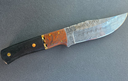 BND Rain Forest Hunter